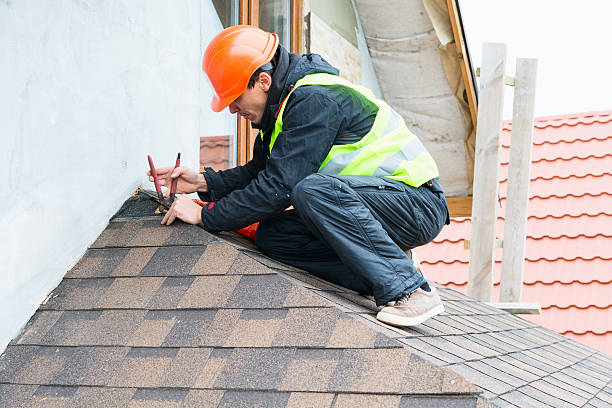 Best Roof Leak Repair  in Schererville, IN
